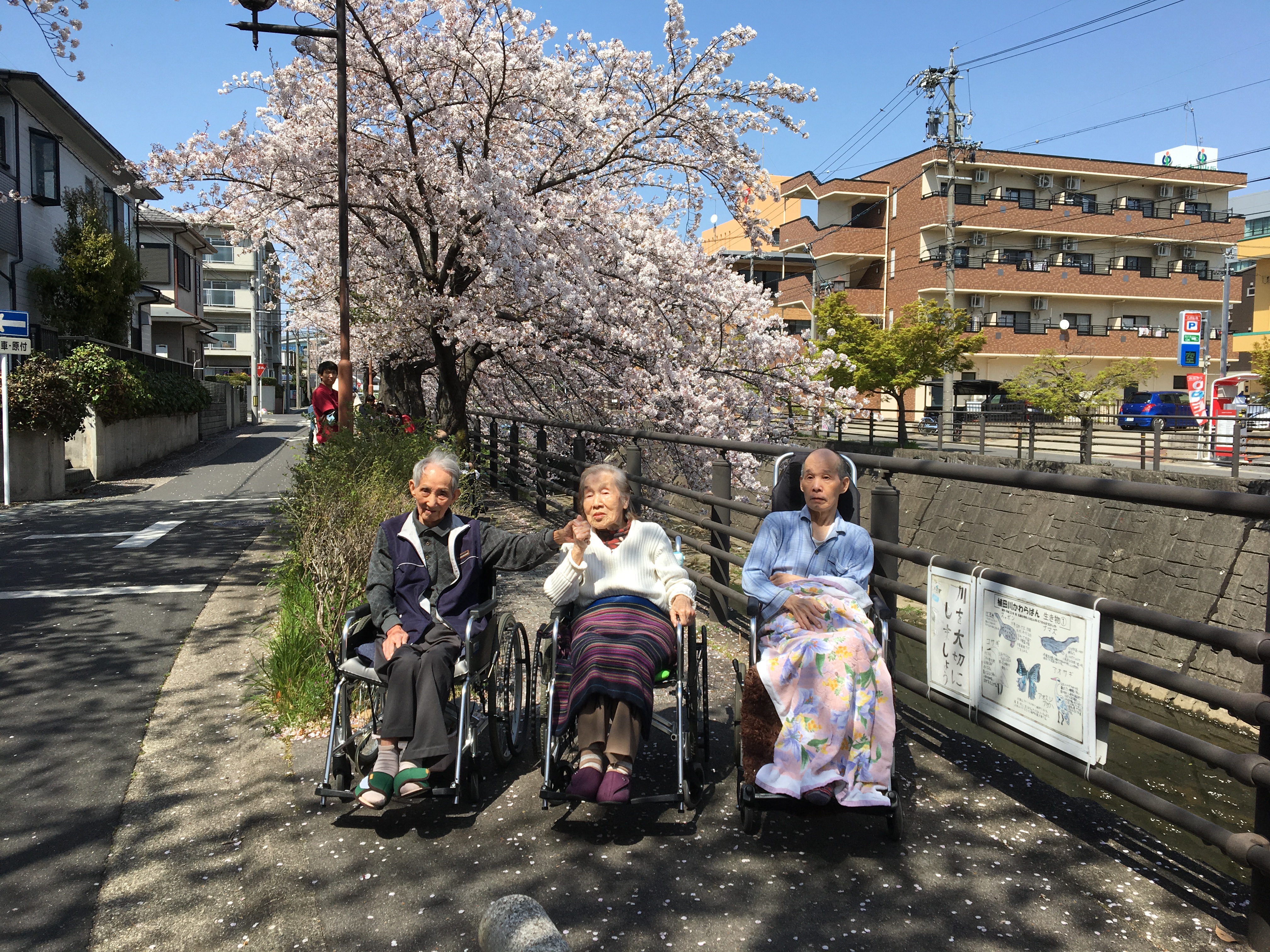 🌸お花見行きました！！🌸