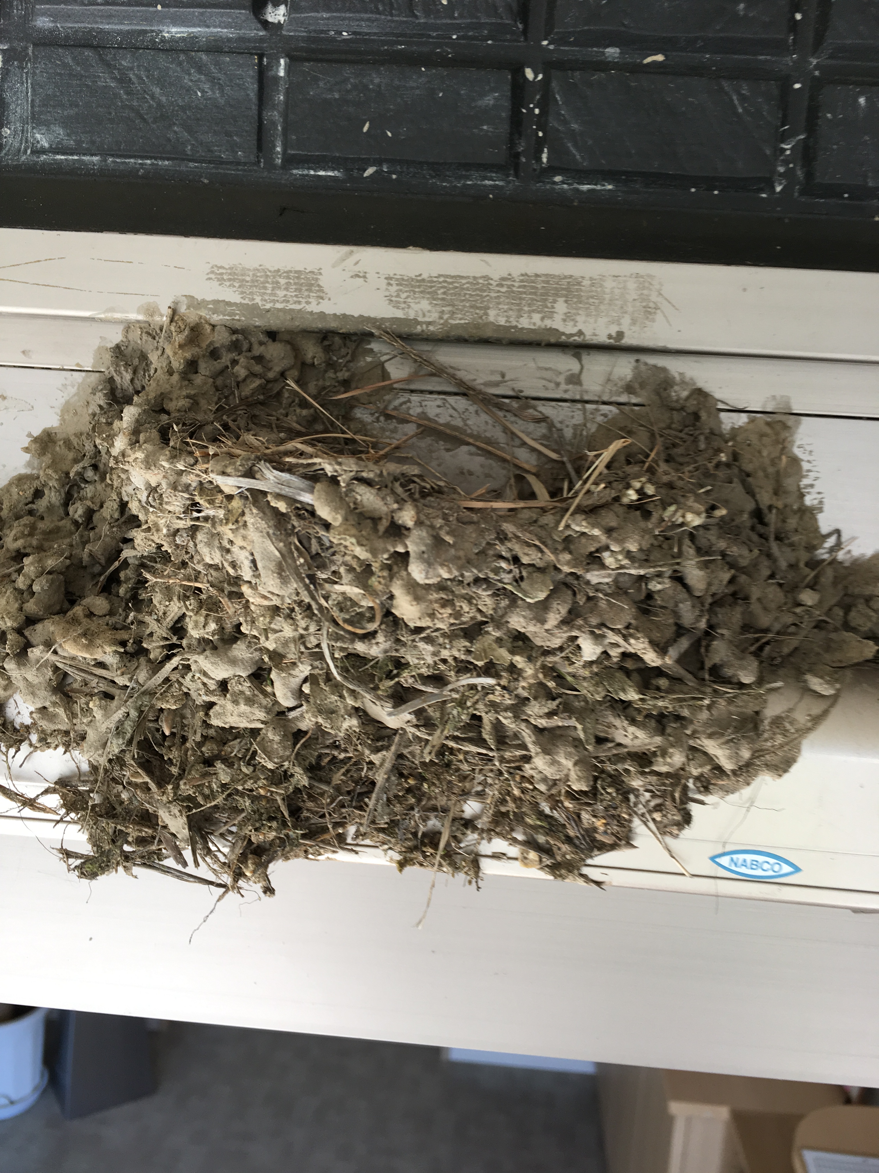 ✨🐧つばめ🐧✨