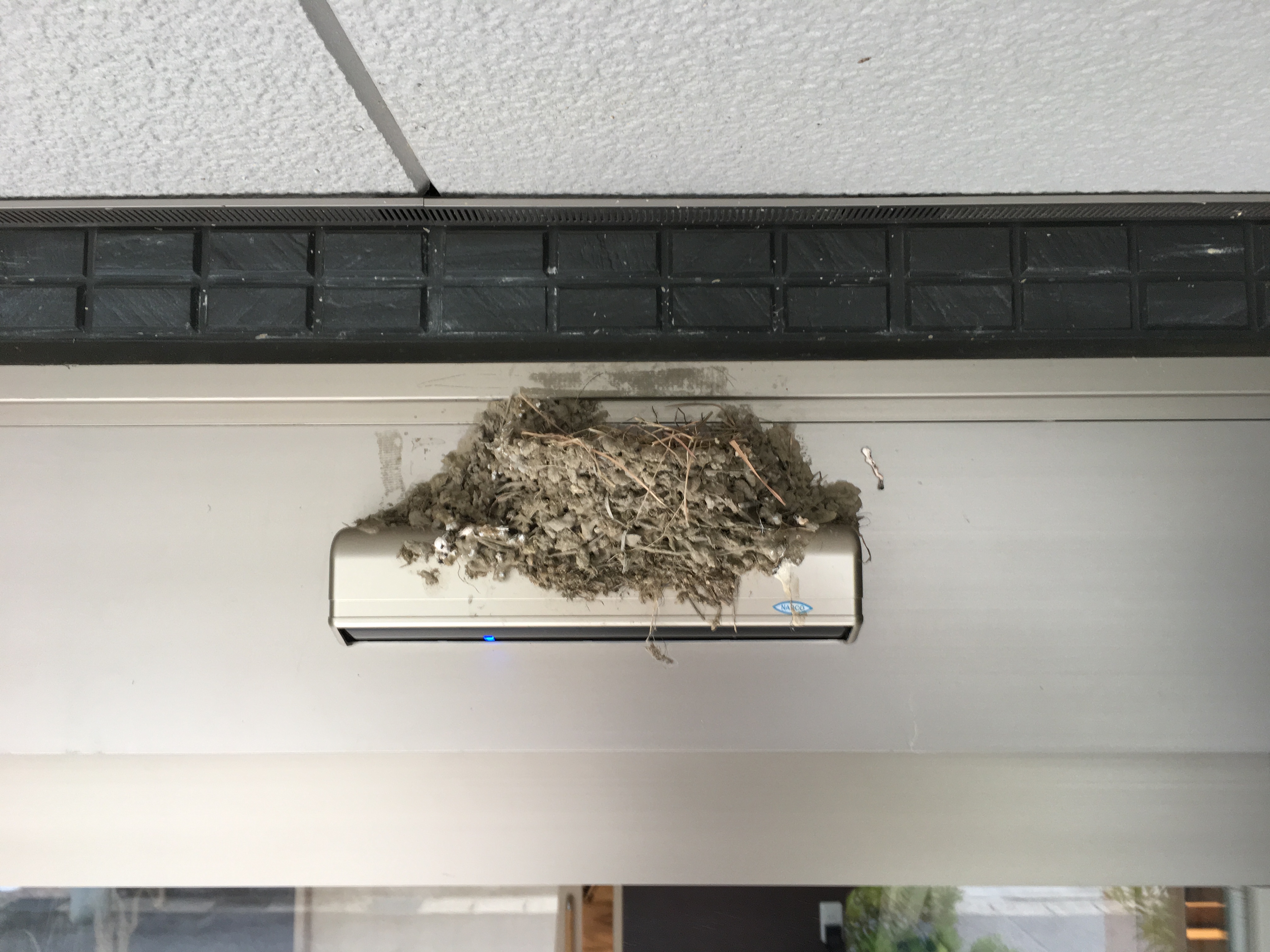 🐧💨つばめ🐧💨