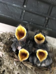 ☔️☂️雨☂️☔️