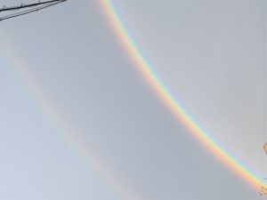 🌈虹🌈エルステージ植田🌈