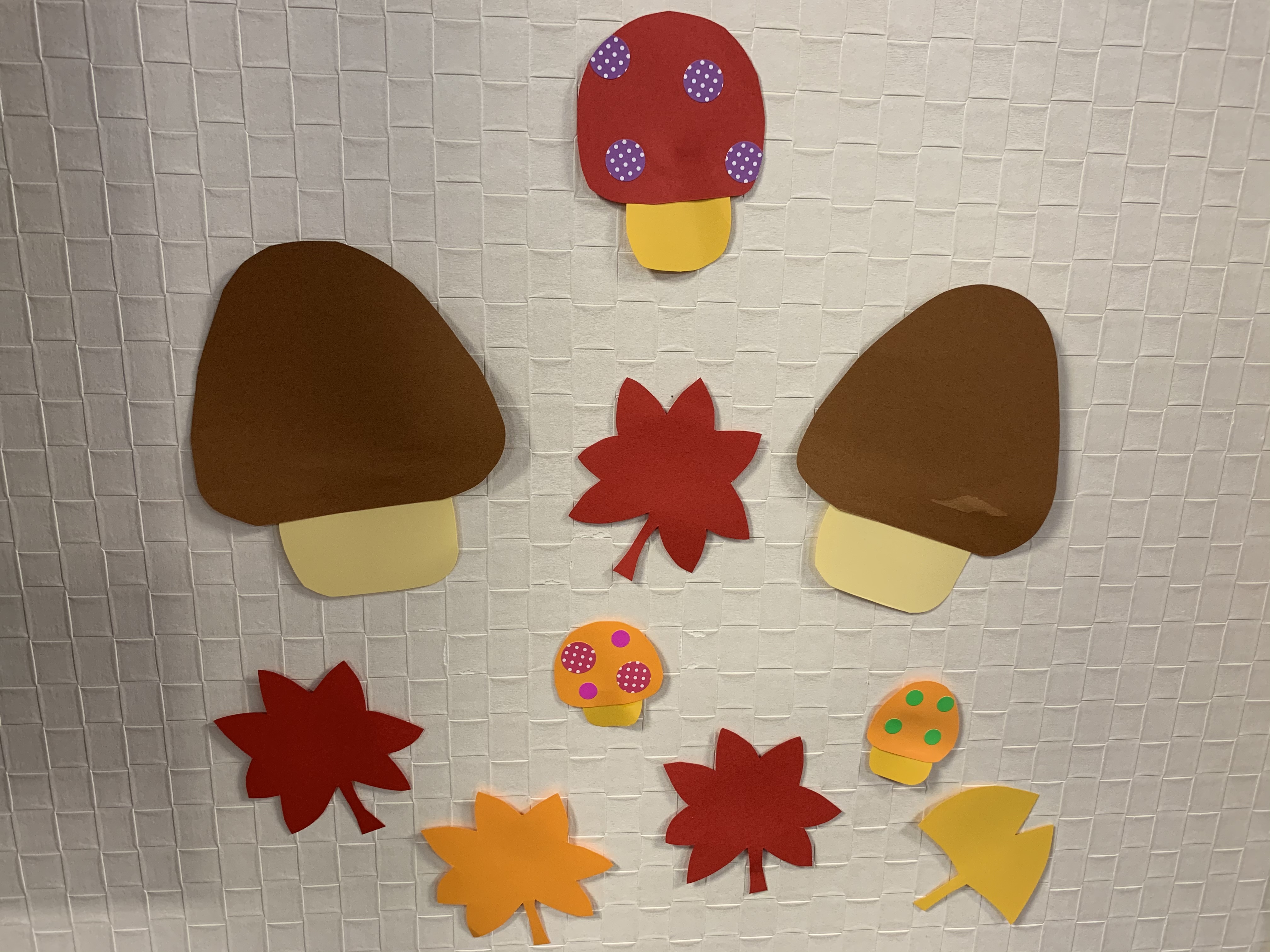 秋の飾り🍄🍁エルステージ植田🍄