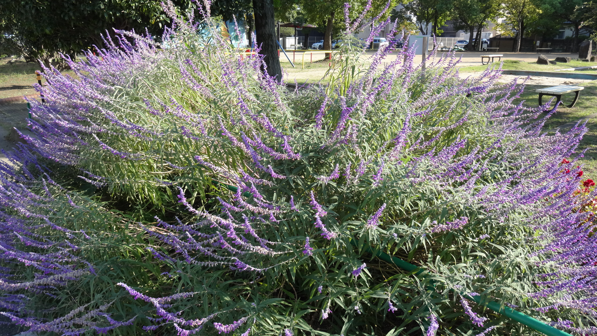 散歩byエルステージ小田井