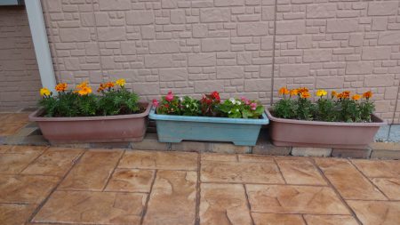 エルステージ小田井