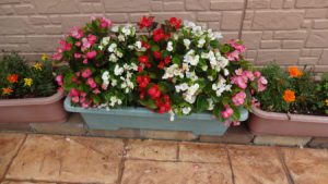 エルステージ小田井