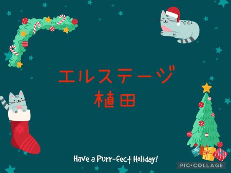 🧚‍♀️エルステージ植田🧚‍♀️