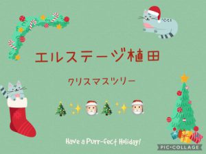 ❄️エルステージ植田❄️