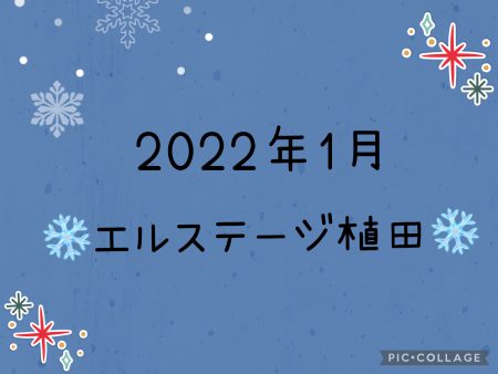 🎀エルステージ植田🎀